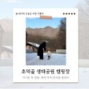 초막골 생태공원 | 서울 근교 글램핑장 군포 초막골 생태공원 글램핑 캠핑장 15개월 아기랑 후기 예약 방법 주차