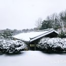 복용농장 이미지