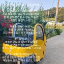 전기 삼륜차 운전 중 이미지