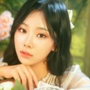 나도유튜브크리에이터 | [Nanlite 파보튜브 II 6C] : 블랙프라이데이 조명특가로 만나는 유쾌한생각 조명추천✨