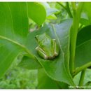 새실농장 이미지