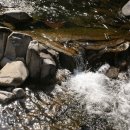 용소 下 이미지