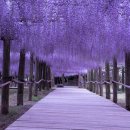 Dire Straits - Tunnel of Love 이미지