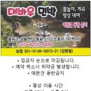 대바우가든 이미지