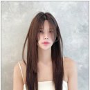 코끼리헤어 이미지