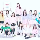 픽미픽미 이미지