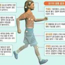 (주)피트 이미지