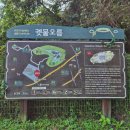 나노네이처 | 제주도 궷물오름 주차 포토존 소요시간 직접 가본 후기