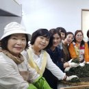 탐라차문화원 이미지