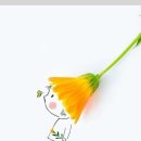 성원펜션 이미지