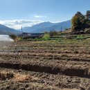 입동농장 이미지