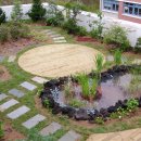 장락초등학교 이미지