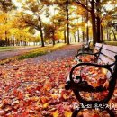 Richard Clayderman - Memory (Alternate Version) (뮤지컬 캣츠 OST) 이미지