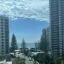 (주)이코스트 | 골드코스트 4일차 솔직후기｜버레이헤드 비치 강추