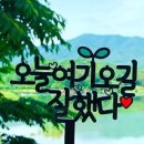 화천 아스파라거스 농장 이미지