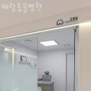 해랑동물병원 이미지