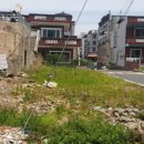 희망의 꽃밭에서 이미지