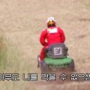 초지가방 이미지