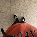 논현로11길 47 | 엄마랑 쑥캐고 장보기 / 양재천 벚꽃 상황 / 이태원 맛집 난포 한남 예약방문 후기