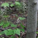 알봉 둘레길 이미지