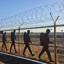 나들라온 이미지