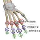 에스엘메디칼 이미지