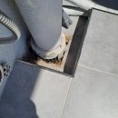 내곡동669 | 경기 성남시 분당 야탑동 벽산블루밍아파트 베란다 악취제거/바퀴벌레차단 시공 후기