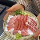 참치정육식당 담주