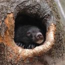 배기공원 이미지