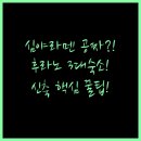 뉴프린스호텔 | 심야 라멘이 무료! 후라노 라 비스타 온천 신축 더 랜드마크 3대 숙소 비교 분석