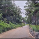 정선파인케어빌 이미지