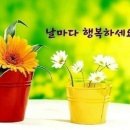 행복꽃 이미지