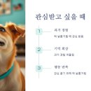 낼름 낼름 이미지