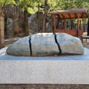 성신여자대학교박물관 | 성신여대 미아운정그린캠퍼스 자연사박물관 외