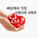 마지막의 사랑 / 설운도 이미지