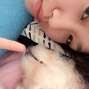 로지모지