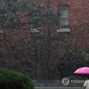 소나기 - 진주시 대신로 289-1 | 소나기