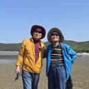 행복 Daum카페