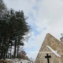 도종한우 이미지