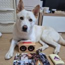 [체험단] 반려견 음악스피커 체험단(Effect In Mind Pet Audio) 우수리뷰어후기