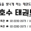 금빛호수 태권도 옥수관 이미지