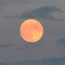 바다슈퍼 이미지