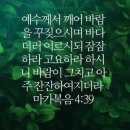 숯나라천국 네이버블로그