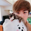 진(Chin) 이미지