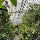 쿠쿠파주점 이미지