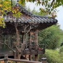 대왕암솔바람길 이미지