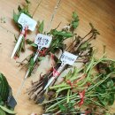 별밤농장 이미지