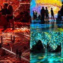 명동미디어 이미지