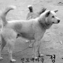 참 이미지
