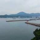 개팔자 상팔자 이미지